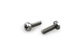 Screws M3 x 10 (PKT 2) (70-803-2009)