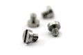 Screws for Skimmer Interface TG1023-Ni or TG1023-Cu (PKT 4) (TG5002)