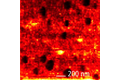 High resolution TERS map. Resolution: ~20 nm. Sample: BCB thin molecular layer on Au substrate.