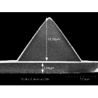 SNOM cantilever probes