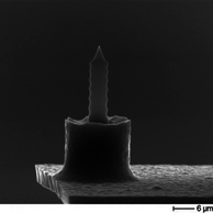 AFM ETALON tips with Au coating