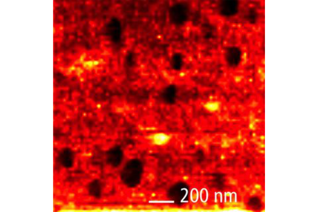 High resolution TERS map. Resolution: ~20 nm. Sample: BCB thin molecular layer on Au substrate.