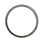 Graphite Sampler Cone Gasket (TF5001)